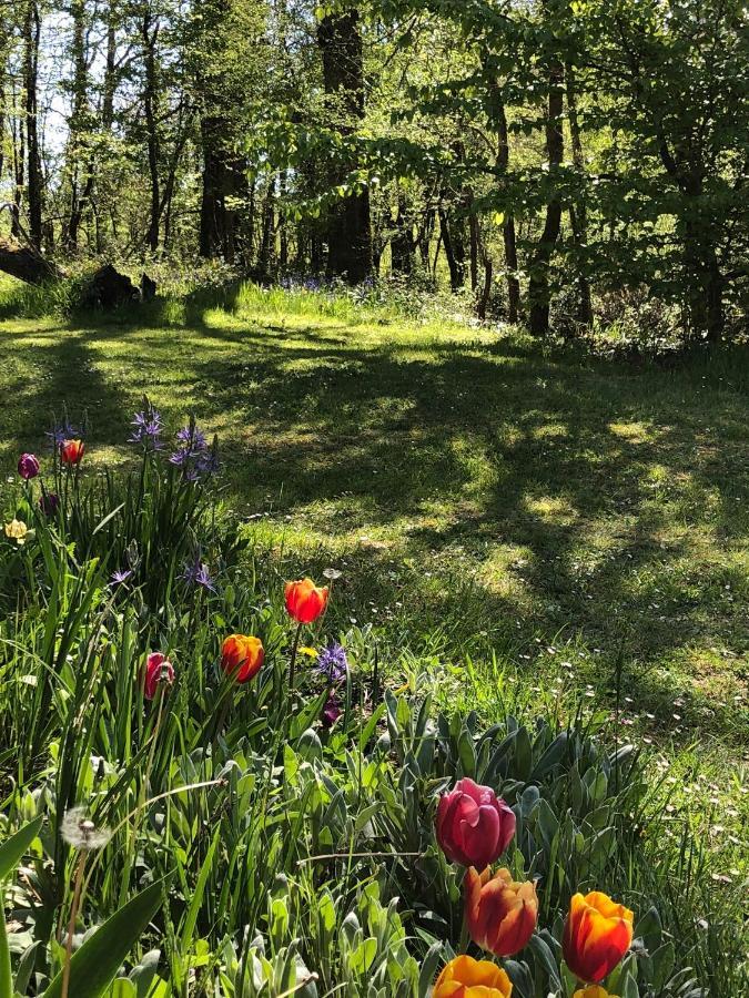 Mabelle Reve B&B Saint-Pierre-de-Côle Exteriör bild